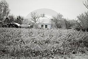 Frost covered landscape