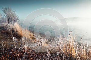 Frost-covered plants on the shore of lake in foggy morning
