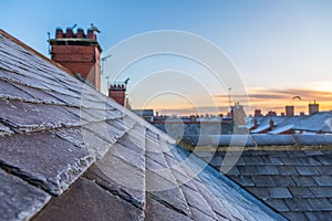 Frost covered roofs and chimneys and sunrise