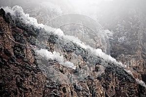 Frost-covered trees, bushes, grasses with coming frost photo