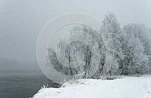 Frost-covered trees, winter landscape, Norway