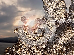 Frost crystal border between floe and dark water on lake. Natural view