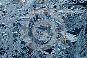 Frost Crystals