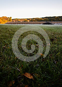 Frost and Dew Droplets on Grass and Leaves