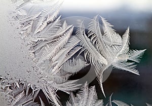 Frost draws ice background patterns on a windowpane