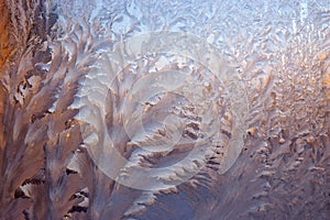 Frost draws patterns on the glass.