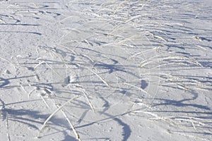 Frost on a dry grass