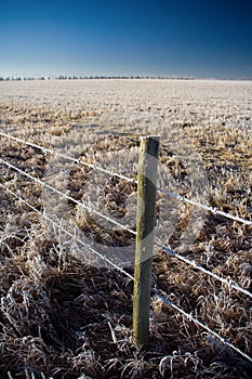 Frost Fenceline