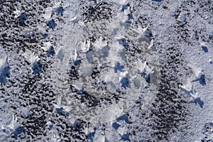 Frost flowers on frozen lake