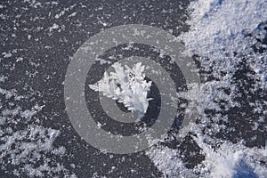 Frost flowers on frozen lake