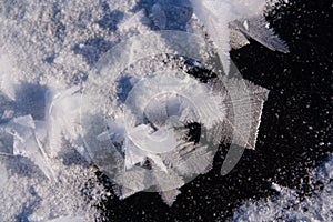 Frost flowers on frozen lake