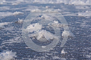 Frost flowers on frozen lake