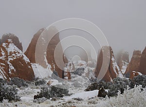 Frost and Fog at Devil`s Garden