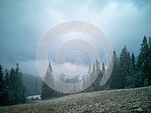 Frost and fog, winter mountain landscape