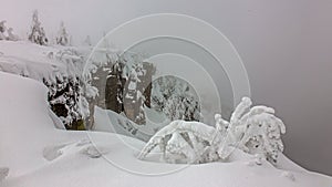 Frost in Giant Mountains / Karkonosze