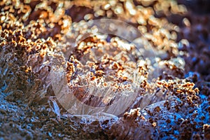 Frost heaves fromed early morning in red dirt