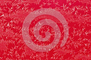 Frost Iceflower on red