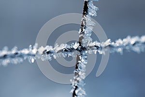 Frost on the iron grid macro. Beautiful winter concept background. Close-up of a frozen iron fence. Macro frost on a blurry