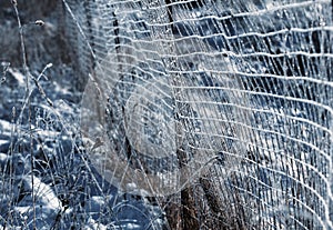 Frost on the iron grid macro. Beautiful winter concept background. Close-up of a frozen iron fence. Macro frost on a blurry