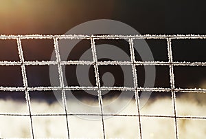 Frost on the iron grid macro. Beautiful winter concept background. Close-up of a frozen iron fence. Macro frost on a blurry