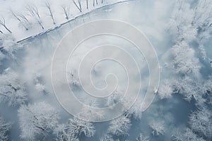 Frost-kissed trees shrouded in river mist, . AI Generated