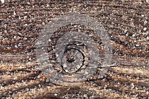 Frost on a old wooden surface. Winter morning dew and freezing