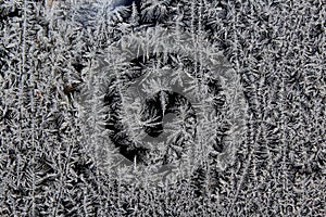 Frost on a Pane of Glass