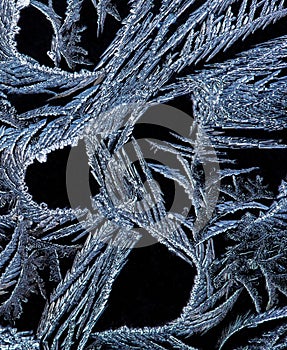 Frost pattern photo