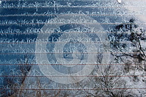 Frost pattern on glass