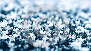 Frost pattern. White frozen ice texture. Cold snow winter background. Blue crystal frost abstract pattern.