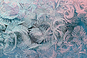 Frost pattern on window glass in winter. A tracery of magical fantastic plants. Stems and leaves from ice crystals. Tinted blue