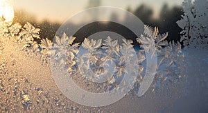 Frost patterns form intricate, leaf-like shapes