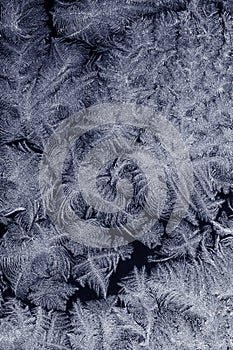 Frost patterns on window glass