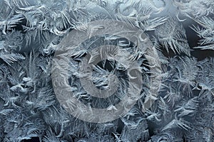 Frost patterns on a window pane