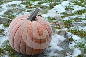 Frost on Pumpkin