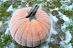 Frost on Pumpkin