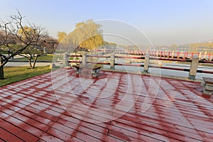 Frost on the red brick in winter, adobe rgb