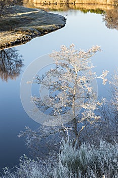 Frost on the River Spey in the Highlands of Scotland.