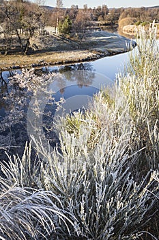 Frost on the River Spey in the Highlands of Scotland.