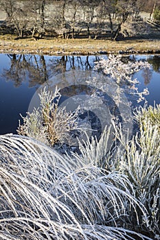 Frost on the River Spey in the Highlands of Scotland.