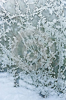Frost and snow; patterns on the window pane.