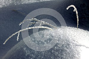 Frost on Grassy Winter Hills photo