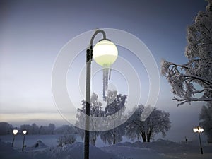 Frost on a tree