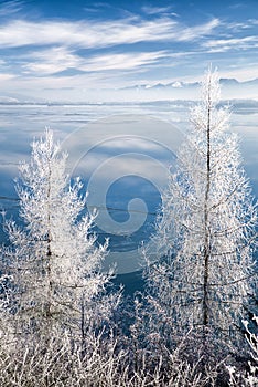Frost on tree and lake Liptovska Mara covere in ice, Slovakia