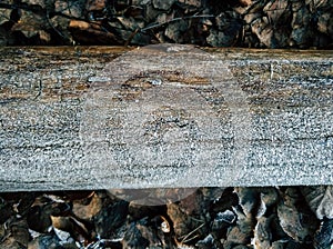 white ice crystals on a wood surface. first frost and glaciation on a tree trunk photo