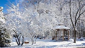 Frost on trees in a beautiful winter landscape