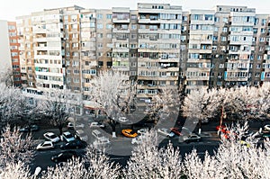 Frost on trees in city