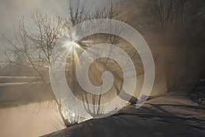 Frost on the trees in Yekaterinburg, Russia.