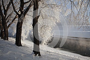 Frost on the trees in Yekaterinburg, Russia.