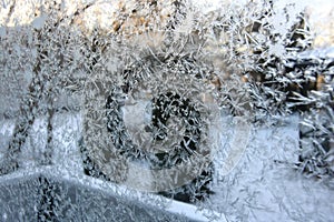 Frost in window